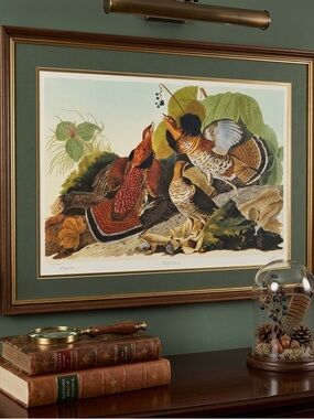 Audubon Loates Ruffed Grouse PP 30/130 38x48 Master Editions Bird Print